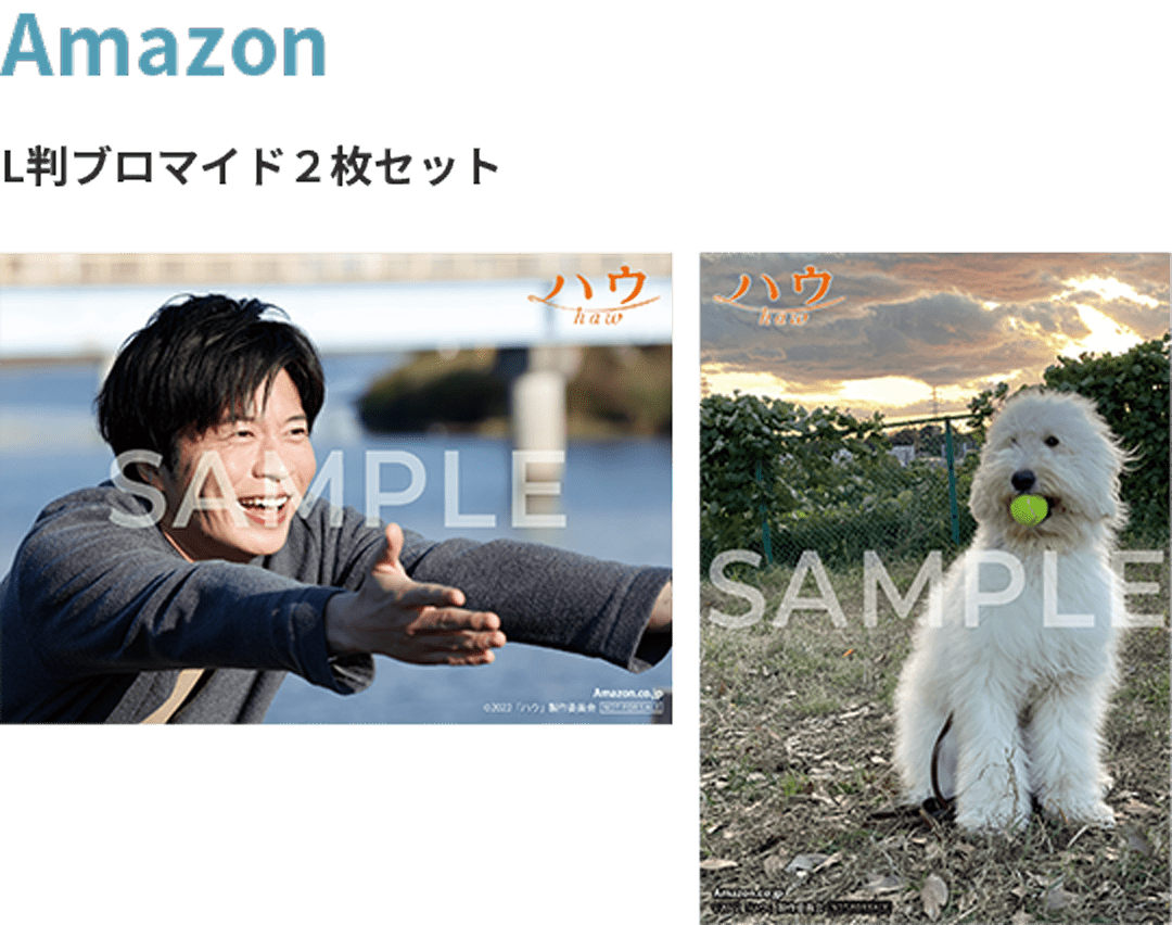 法人限定 先着予約特典