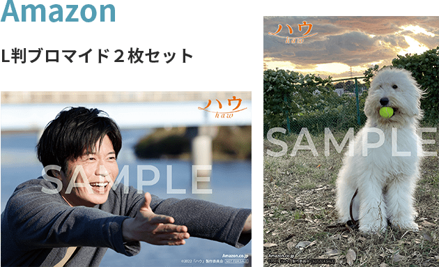 法人限定 先着予約特典