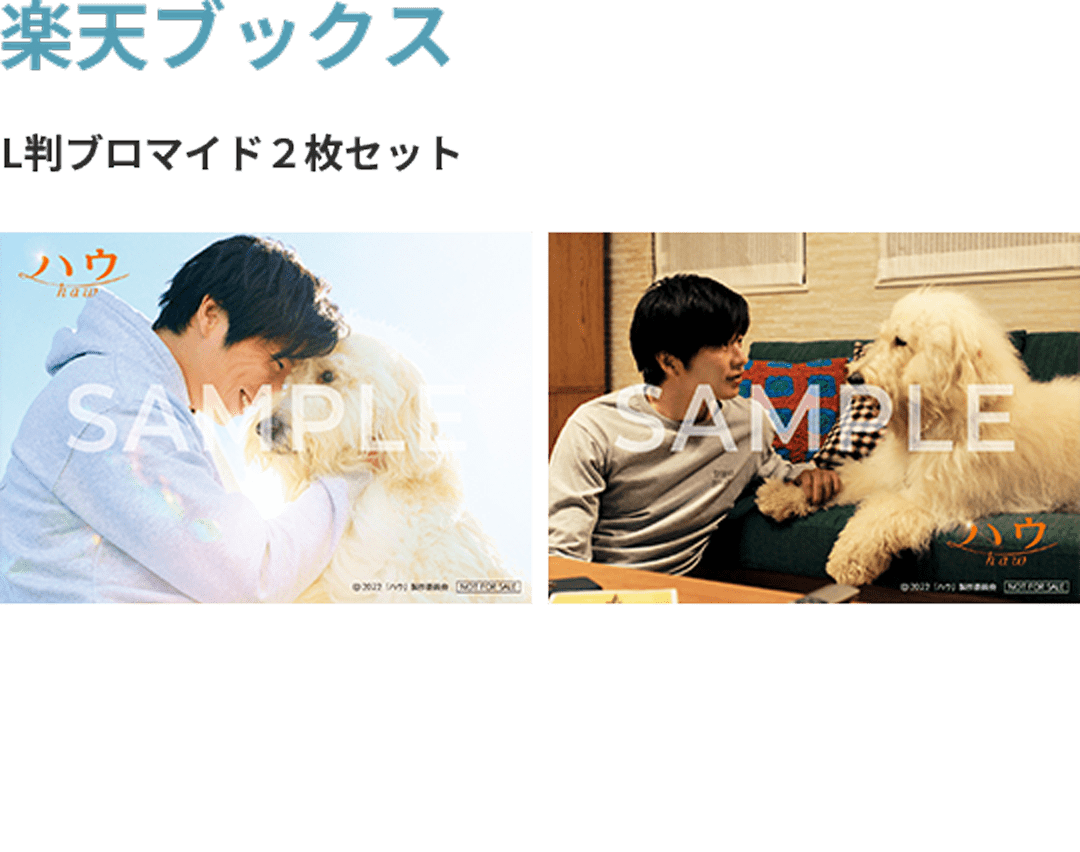 法人限定 先着予約特典