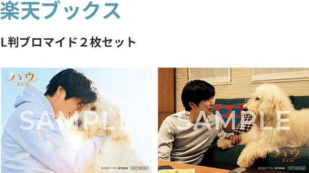 法人限定 先着予約特典