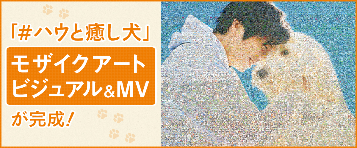 「#ハウと癒し犬」モザイクアートビジュアル＆MV完成！