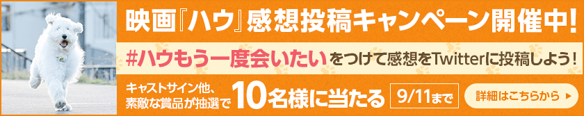 感想キャンペーン