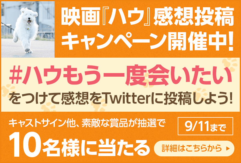 感想キャンペーン